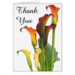 Beautiful Calla Lilly Floral Wedding Thank You Card