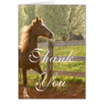 Beautiful Equestrian Animal Country Thank You Card