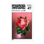 BEAUTIFUL PINK ROSE POSTAGE STAMP