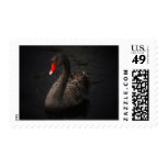 Black Swan Stamp