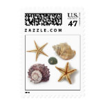 Elegant seashells shabby chic beach stamp