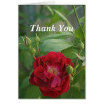 floral Dreams-Thank You Card