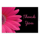 Hot Pink Gerbera (Gerber) Daisy Black Thank You Card