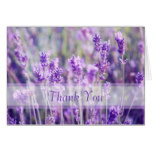 Lavender Flowers Thank You Card