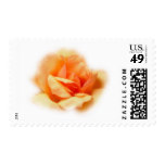 Misted Orange Rose Postage