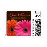 Orange Pink Brown Gerber Daisy Love Blooms Wedding Stamp