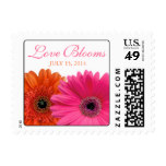 Orange Pink Gerbera Daisy Love Blooms Wedding Postage