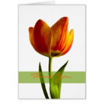 Orange Tulip Wedding Thank You Card