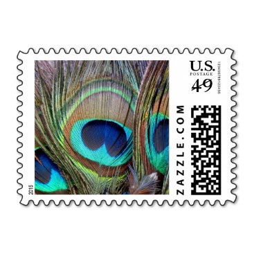 Peacock Feathers Postage Stamp