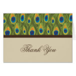 Peacock Feathers Thank You Card