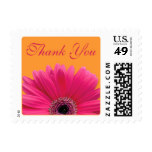 Pink Gerbera Daisy Orange Wedding Thank You Postage Stamp