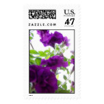 Purple Flowers Postage Stamp