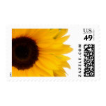 Sunflower Postage Stamp