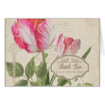 Thank You Notes Vintage Botanical Parrot Tulip Art