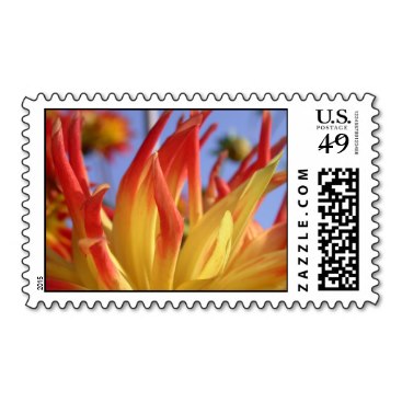 Yellow and red blue sky dahlia postage stamp