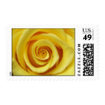 Yellow Rose U.S. Postage Stamp