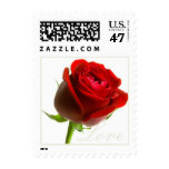 A Single Red Rose Love Stamp