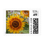 Beautiful elegant sunflower postage stamp