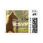 Beautiful Equestrian Animal Country Wedding RSVP Postage