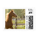 Beautiful Equestrian Animal Country Youre Invited Postage