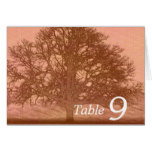 Beautiful peach colored abstract tree in field card
