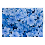 Blue Flowered Notecards Card