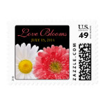 Coral Gerber Daisy Black White Love Blooms Wedding Postage Stamp