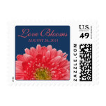 Coral Gerbera Daisy Navy Blue Love Blooms Wedding Postage Stamp