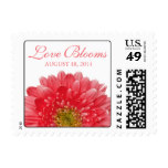 Coral Gerbera Daisy White Love Blooms Wedding Postage