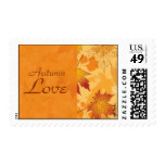 Fall Intensity Postage Stamp