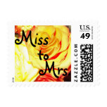 Golden Rose Miss to Mrs. Stamp