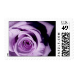 Lavendar Rose U.S. Postage Stamp