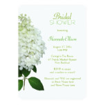 Limelight Hydrangea Bridal / Wedding Shower Card