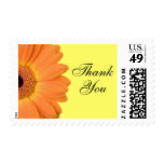 Orange and Yellow Gerber Daisy Thank You Stamps