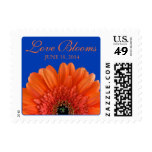 Orange Gerber Cobalt Blue Love Blooms Wedding Postage Stamp