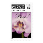Orchid, Love! Stamp