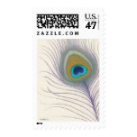 Painted Peacock Feather Postage