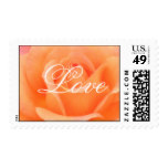 Peach Rose - Love Stamp
