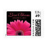 Pink Gerbera Daisy Black Love Blooms Wedding Postage Stamp