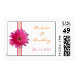 Pink Gerbera Daisy Plaid Ribbon Wedding Postage Stamp