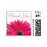 Pink Gerbera Daisy White Wedding Thank You Postage Stamp