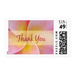 Plumeria Thank You Stamps