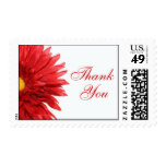 Red Daisy Thank You Stamps
