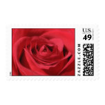 Red Rose U.S. Postage Stamp