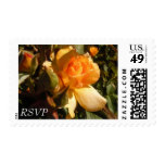 RSVP Rose Stamp