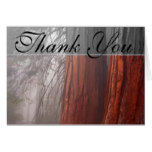 Sequoia Trees In Fog Country Thank You Card