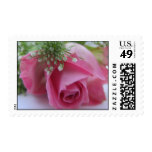 Stamp: Pink rose Postage