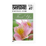 Thank You Postage Stamp - Tiger Lily