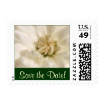 White Flower with Rain Drops, Save the Date! Postage