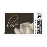 winter white rose postage